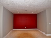 Basement Renovation