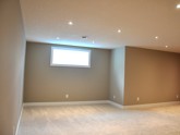Basement Renovation